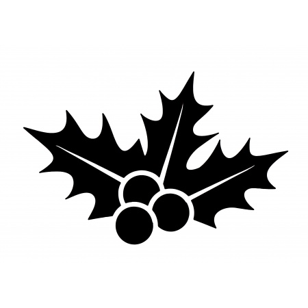 gsb17-s802_christmas_mistletoe_907131446